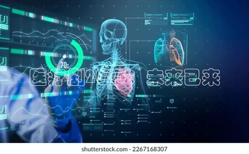 3377体育官网入口网页版