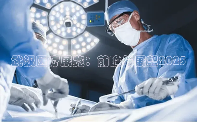 3377体育中国官方网站入口