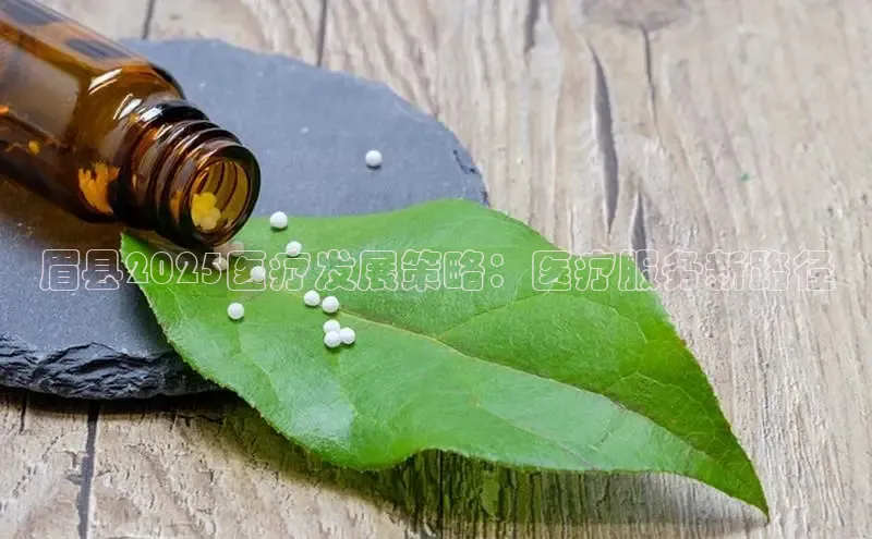 3377体育app登录入口手机版